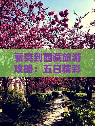 襄樊去西藏五日游