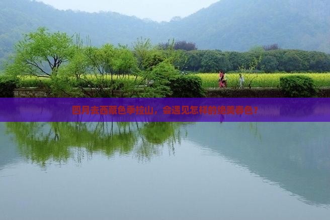 四月到西藏色季拉山大型旅游团