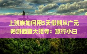 广元去西藏大昭寺攻略