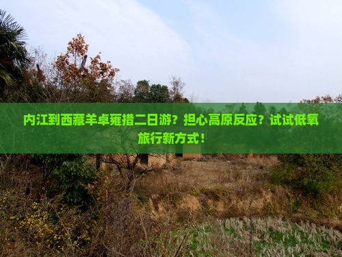 内江到西藏羊卓雍措二日游