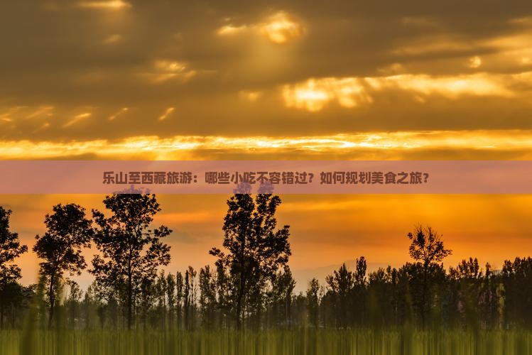 乐山到西藏旅游小吃