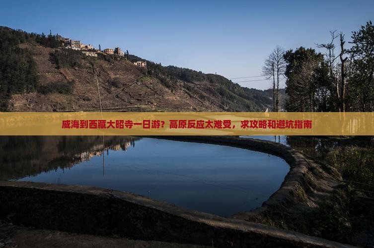 威海到西藏大昭寺一日