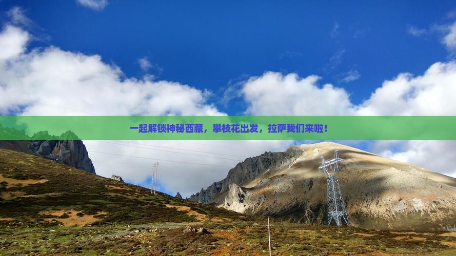 攀枝花到西藏拉萨团体旅游