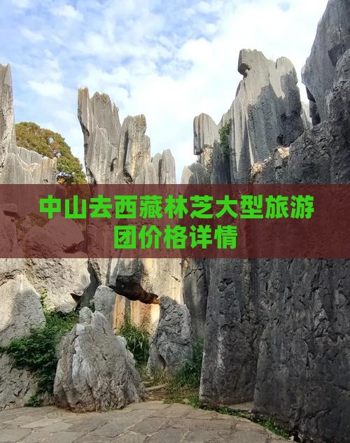 中山去西藏林芝大型旅游团