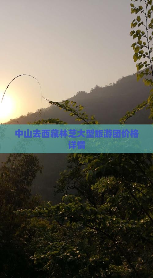 中山去西藏林芝大型旅游团