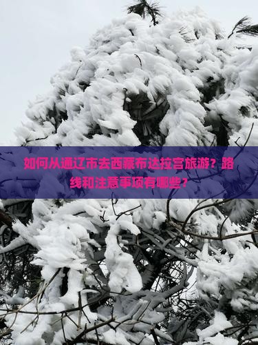 通辽市去西藏布达拉宫旅游