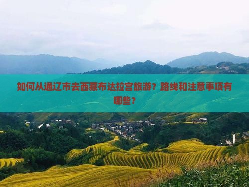 通辽市去西藏布达拉宫旅游
