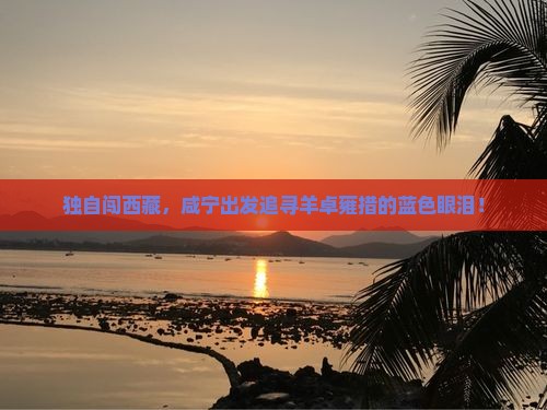 咸宁去西藏羊卓雍措个人游