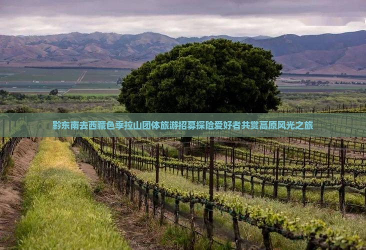 黔东南去西藏色季拉山团体旅游 黔东南去西藏色季拉山团体旅游