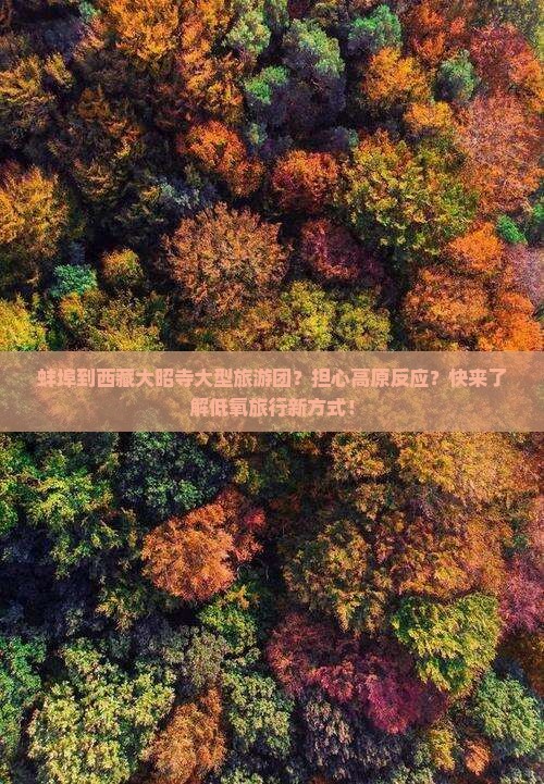 蚌埠到西藏大昭寺大型旅游团