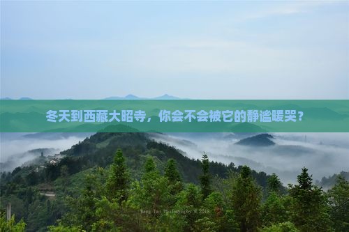 冬天到西藏大昭寺景点