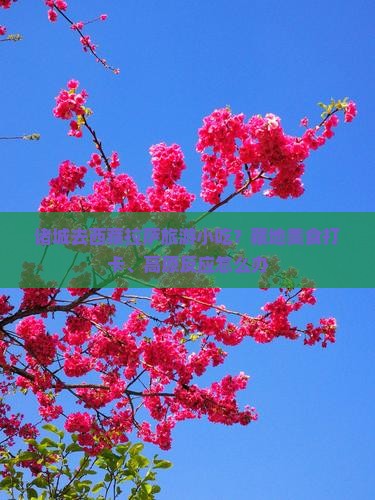 诸城去西藏拉萨旅游小吃