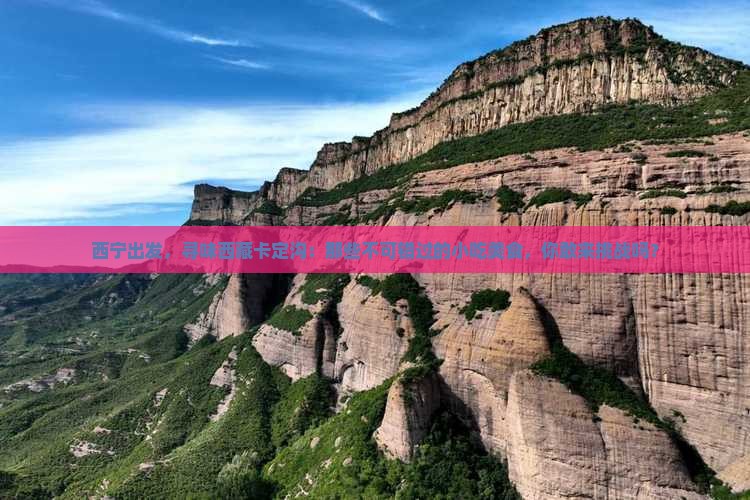 西宁去西藏卡定沟旅游小吃