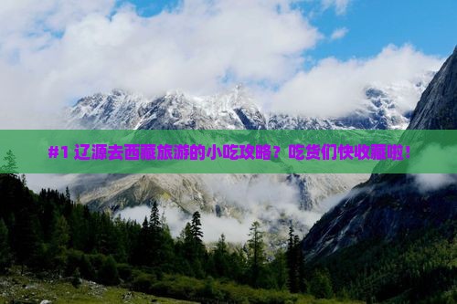 辽源去西藏旅游小吃