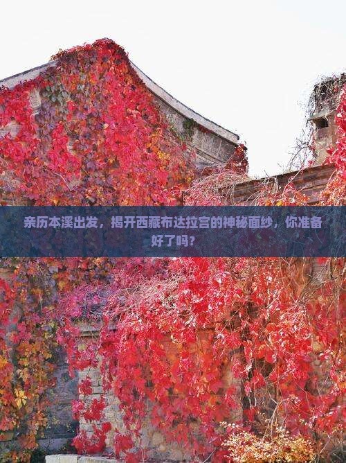 本溪去西藏布达拉宫攻略