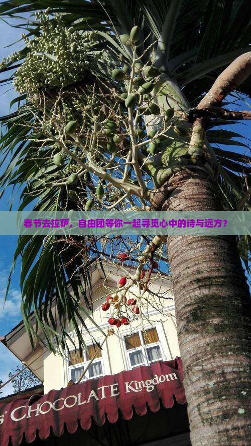 春节去西藏拉萨自由团