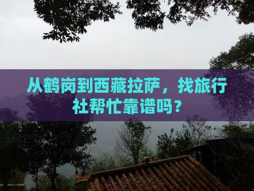鹤岗去西藏拉萨旅行社