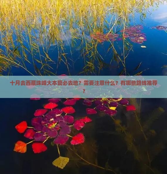 十月去西藏珠峰大本营必去地