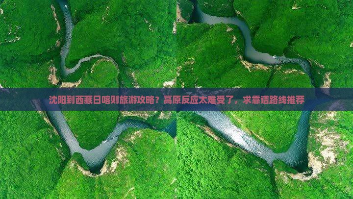 沈阳去西藏日喀则旅游
