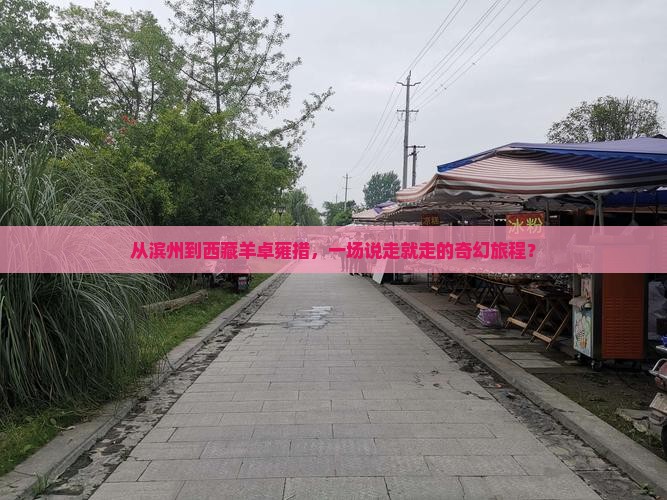 滨州去西藏羊卓雍措大型旅游团
