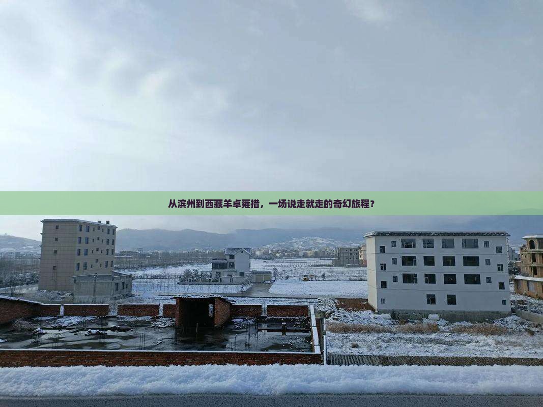 滨州去西藏羊卓雍措大型旅游团
