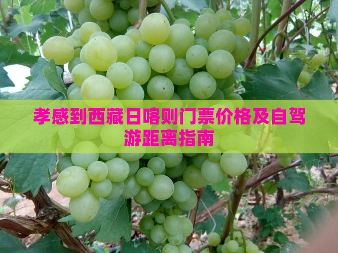 孝感到西藏日喀则门票