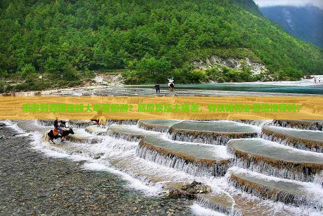 南京到西藏珠峰大本营旅游