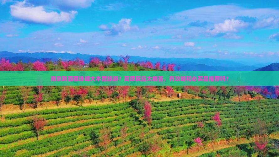 南京到西藏珠峰大本营旅游