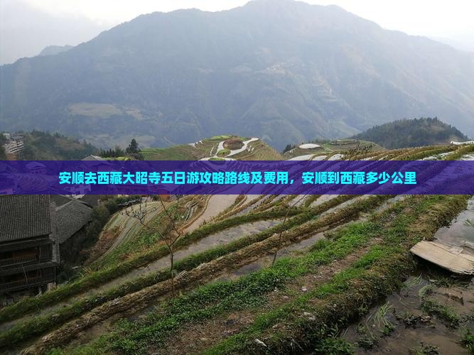 安顺去西藏大昭寺五日游