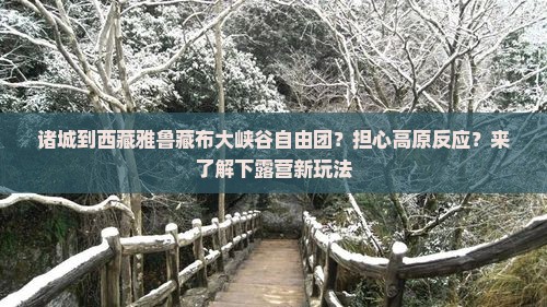 诸城到西藏雅鲁藏布大峡谷自由团