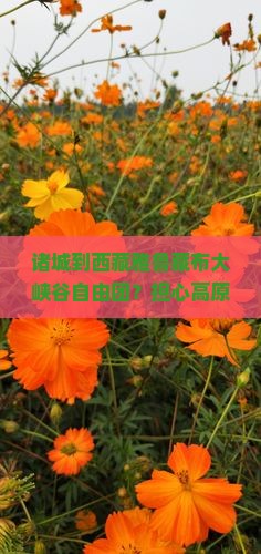 诸城到西藏雅鲁藏布大峡谷自由团
