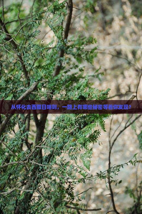 怀化到西藏日喀则哪里玩