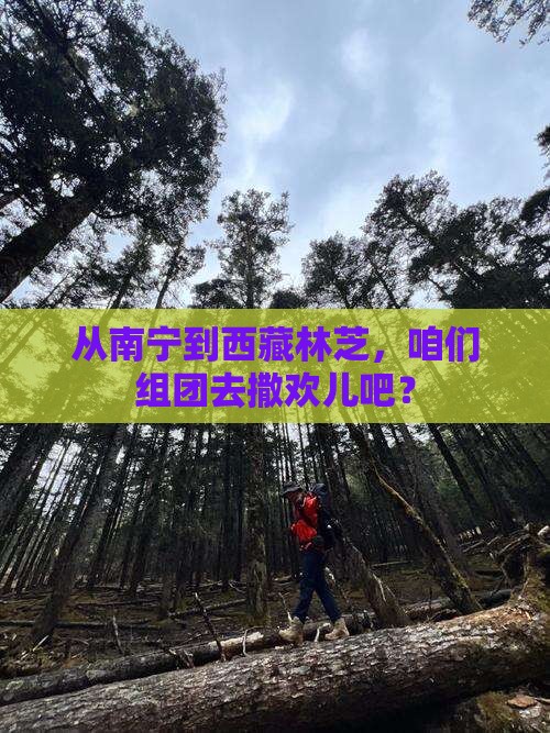 南宁去西藏林芝大型旅游团