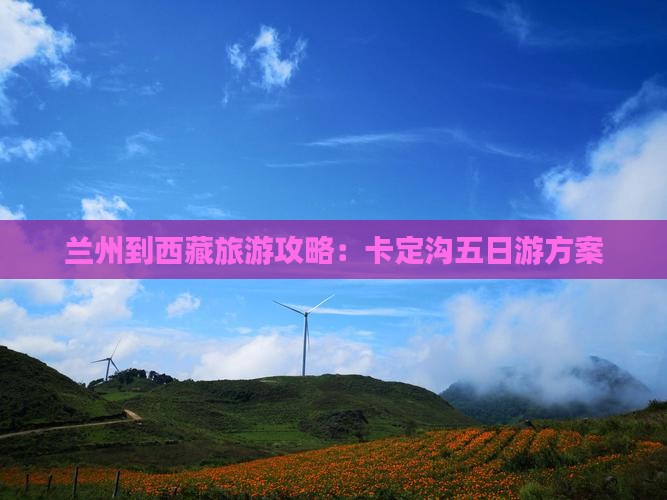兰州去西藏卡定沟五日游