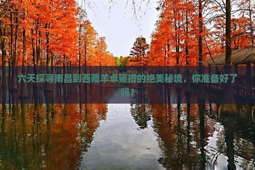 南昌去西藏羊卓雍措六日游
