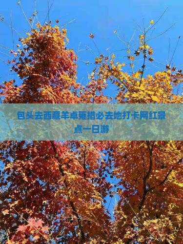 包头去西藏羊卓雍措必去地