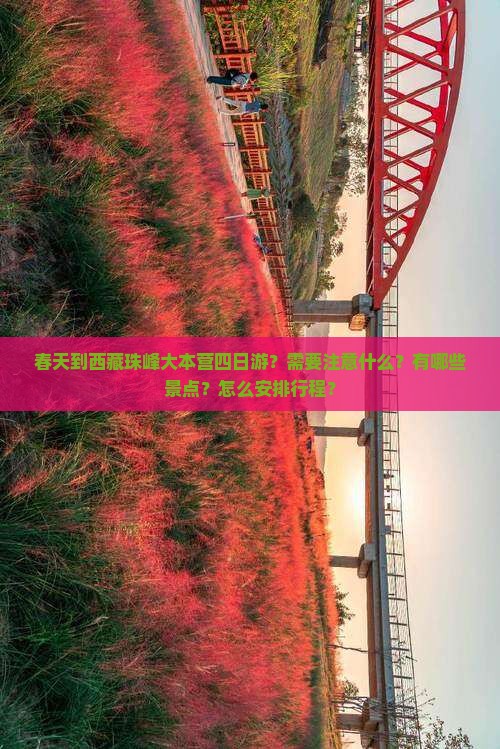 春天到西藏珠峰大本营四日游