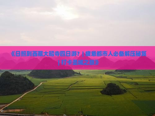 日照到西藏大昭寺四日游