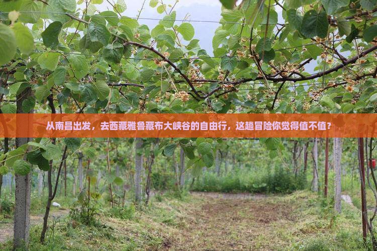 南昌去西藏雅鲁藏布大峡谷自由行