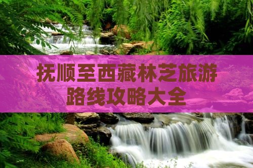 抚顺去西藏林芝攻略