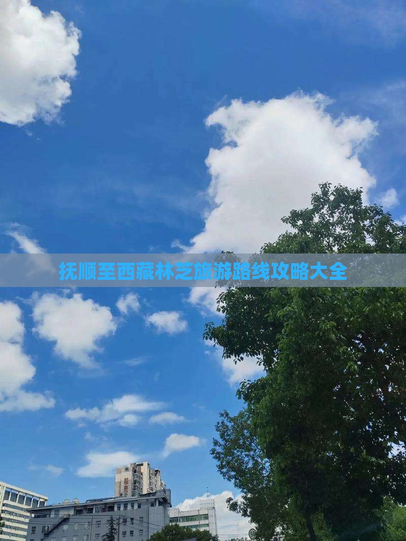 抚顺去西藏林芝攻略