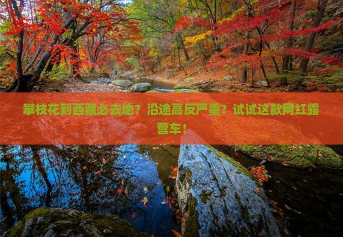 攀枝花到西藏必去地