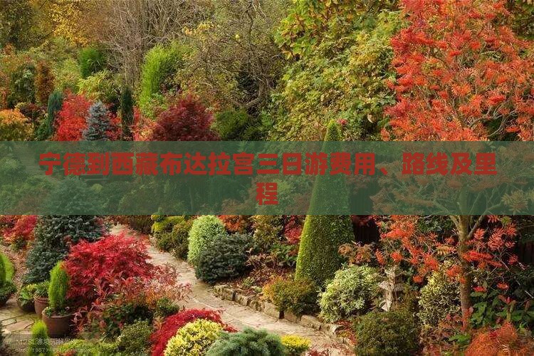 宁德到西藏布达拉宫三日游