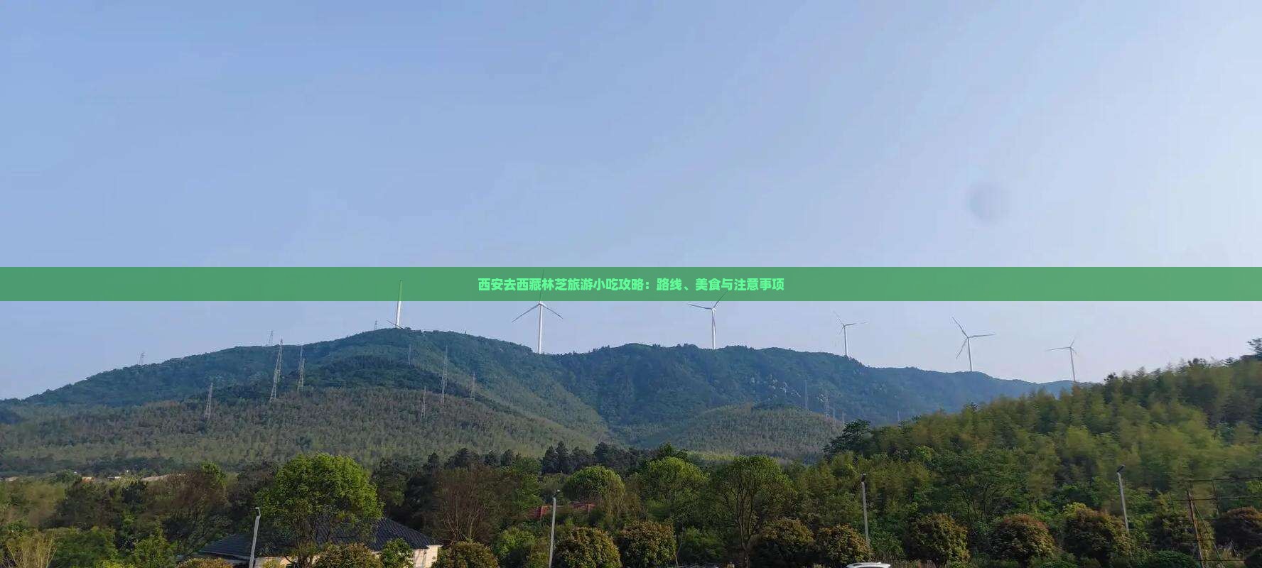 西安去西藏林芝旅游小吃