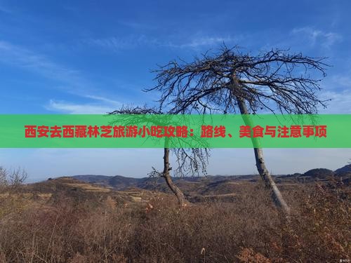 西安去西藏林芝旅游小吃