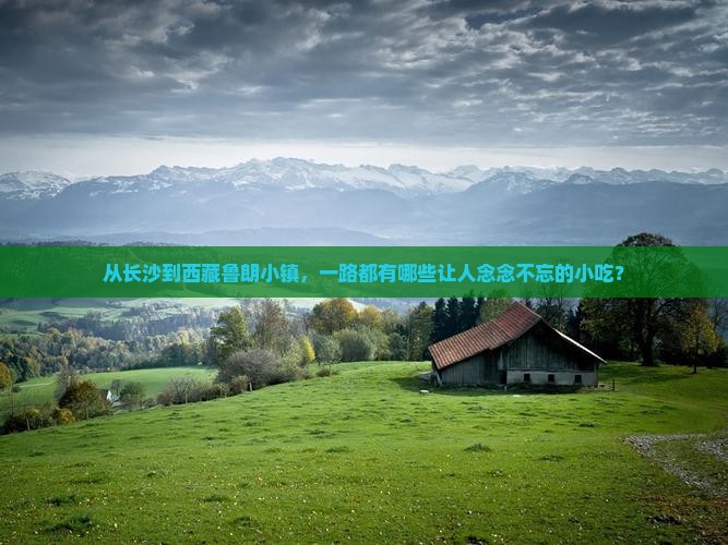 长沙去西藏鲁朗小镇旅游小吃
