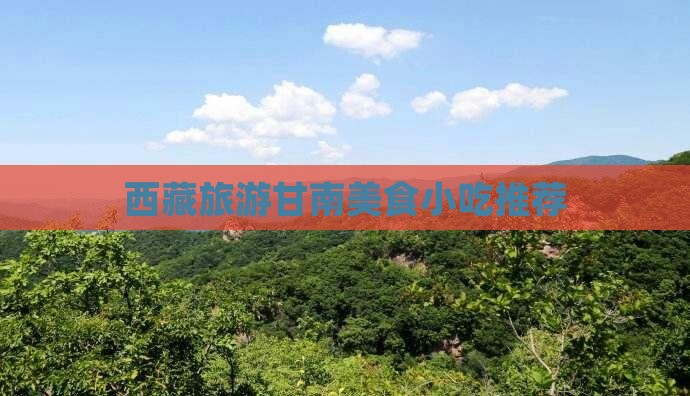 甘南去西藏雅鲁藏布大峡谷旅游小吃