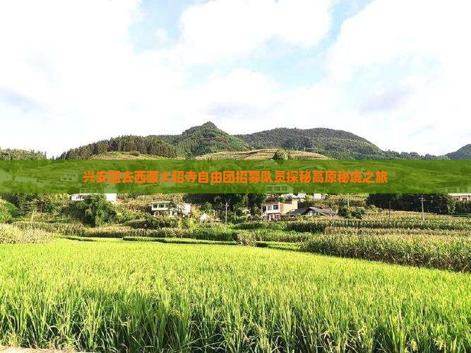 兴安盟去西藏大昭寺自由团