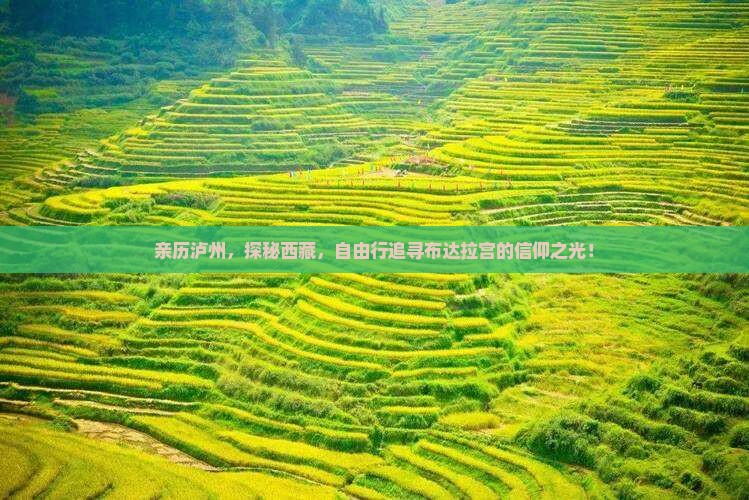 泸州到西藏布达拉宫自由行