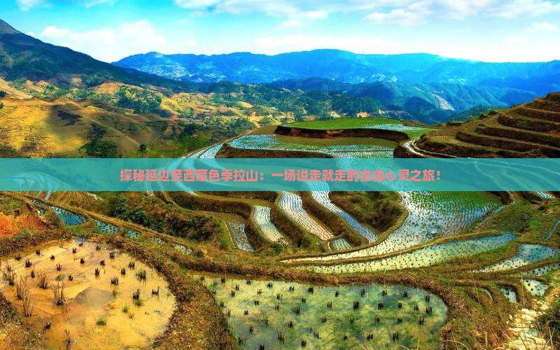 延边到西藏色季拉山自由行